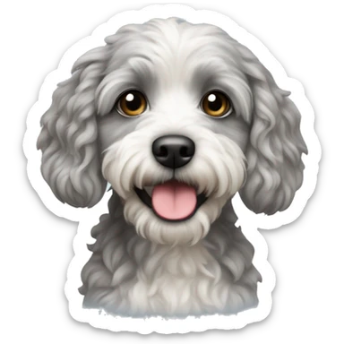 Grey and white havapoo sticker