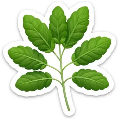 small sprig of fresh oregano with oval slightly fuzzy green leaves on thin tender stems, leaves clustered and layered with subtle natural curves and soft midrib veins, color ranges from vibrant to muted green, no pot scissors or extras, apple emoji style, soft lighting, subtle shadows, emoji scale sticker