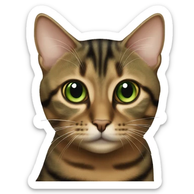 green eyed torbie cat brown with black stripes sticker