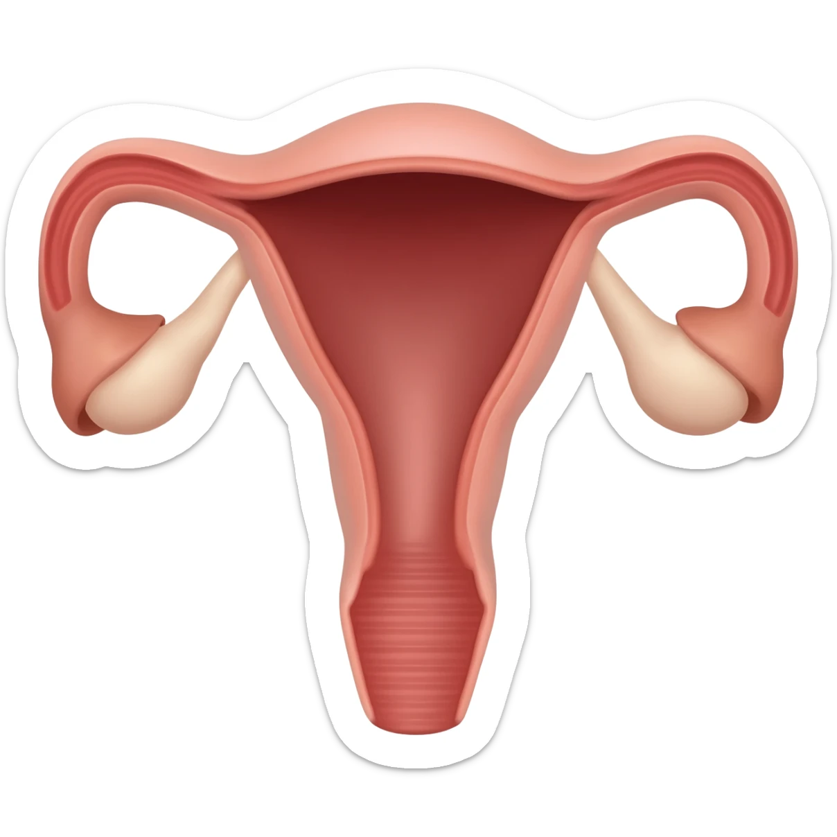 realistic uterus sticker