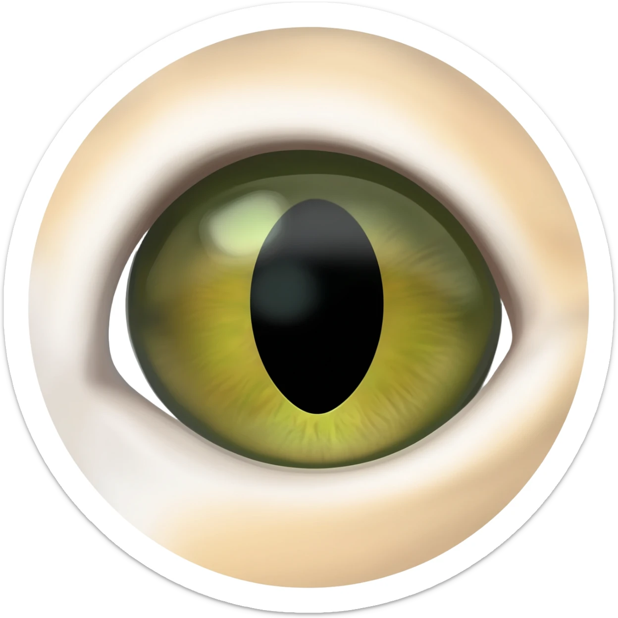 Realistic Cat-Reptile slit pupil eye in a circle  sticker