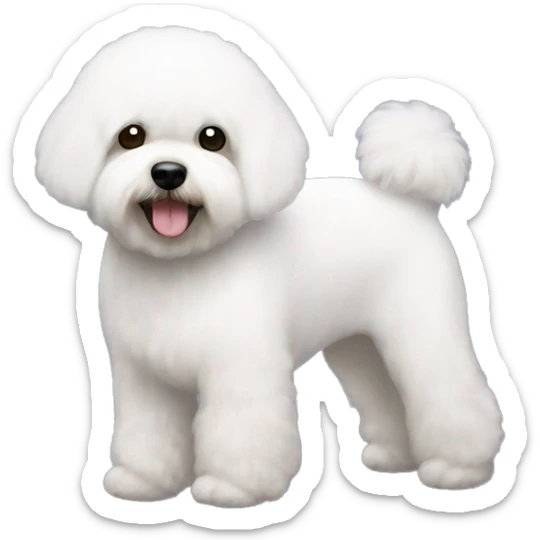 Bichon frise sticker