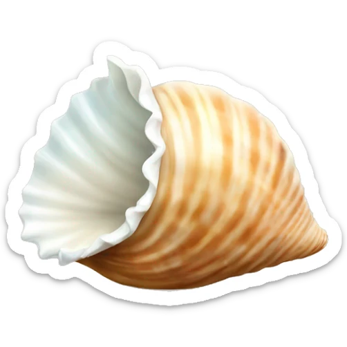 Seashell sticker