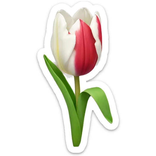 Tulip sticker