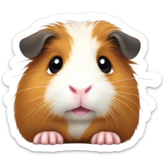 Guinea pig  sticker