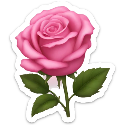 Pink rose sticker