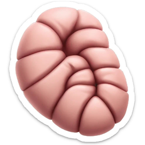“A detailed image of a human stomach, showing its curved shape, inner folds, and a natural pinkish color.” sticker