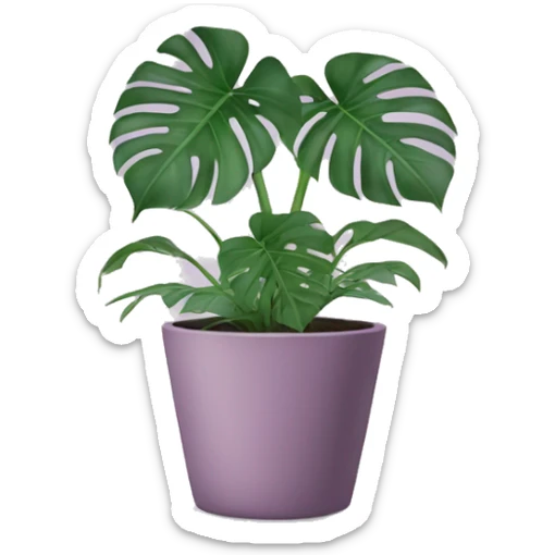 Monstera plant in mauve pot  sticker