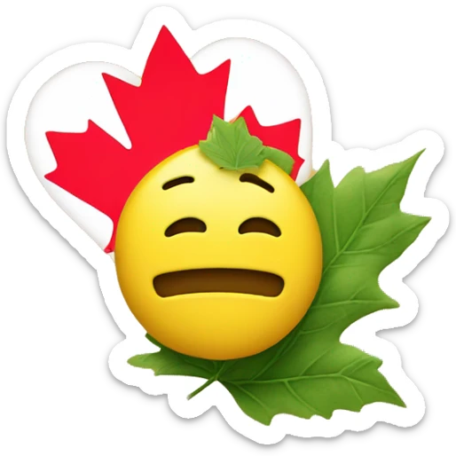 a classic yellow emoji face that in love but instead of hearts it has Canada leafs  sticker