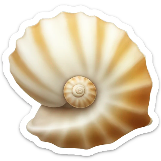 seashell sticker