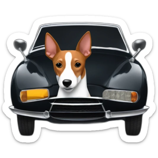 Tricolor basenji sitting in driver’s seat of a black Aston Martin sticker