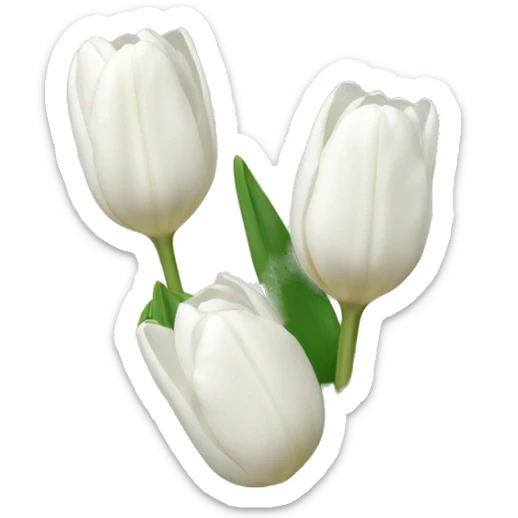 white tulips sticker