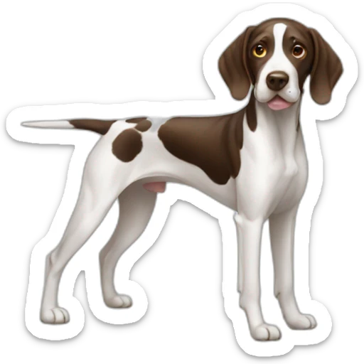 pointer sticker