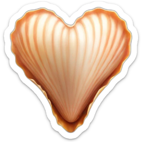 love shaped  shell  sticker