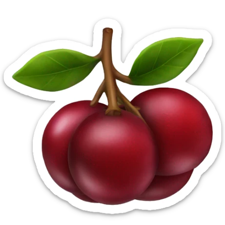 Cranberry  sticker