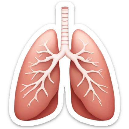 lungs sticker