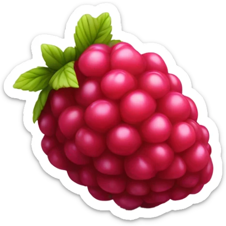 Raspberry sticker