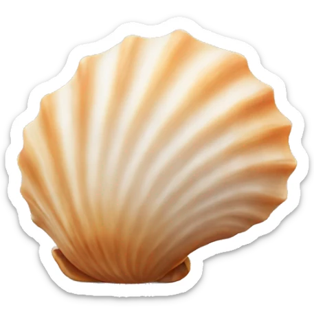 seashell sticker