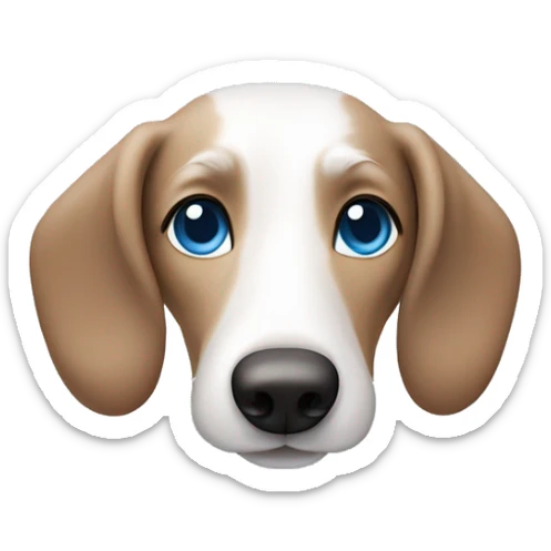 White wiener dog with gray and brown fur on face and bright blue eyes sticker