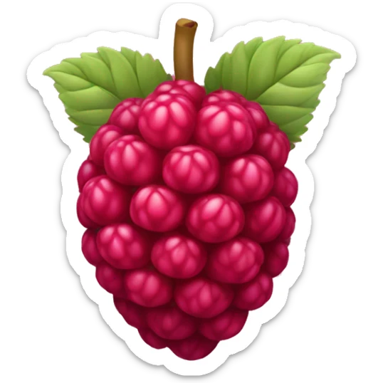 Raspberry sticker