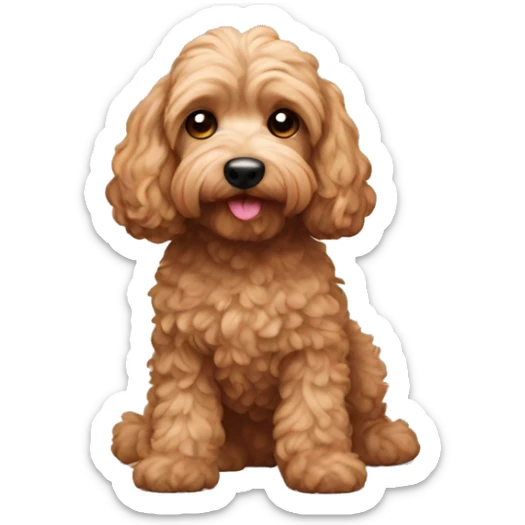 Cockapoo sticker