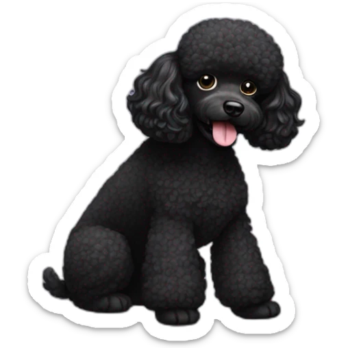 black poodle  sticker