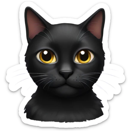 black cat  sticker