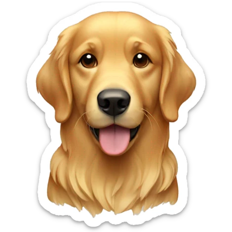 Golden retriever  sticker