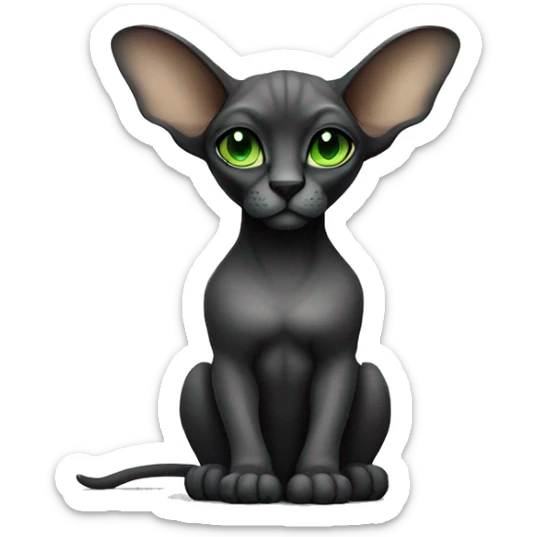 Pretty sphinx black or gray with big ears and green eyes. Sitting and licking  sticker