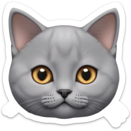 cinematic-cute-british shorthair-kitten cat-portrait-emoji,-head-tilted-playfully-and-inquisitively,-sleek-solid-grey-fur,-simplified-yet-adorable-features,-highly-detailed,-glowing-with-a-warm,-friendly-glow sticker