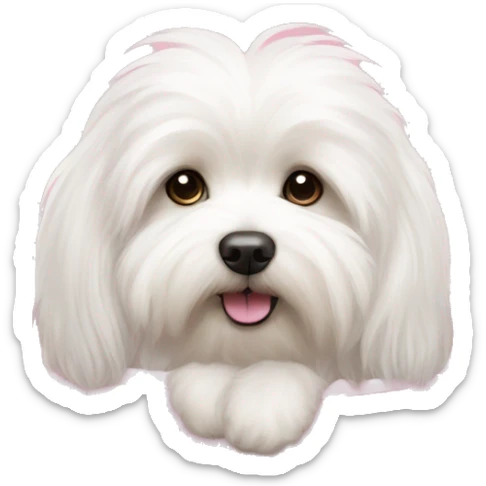 Long haired Coton de Tulear dog with pink harness and pink hair bow, sitting in a pink dog bed sticker