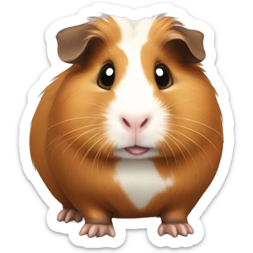 guinea pig sticker