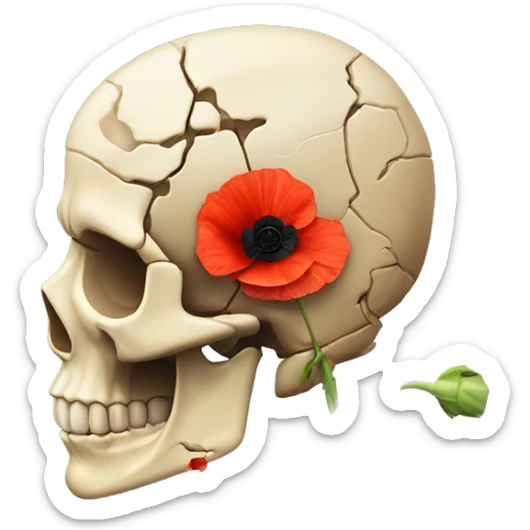 broken skull with 2 poppies and 1 sprout of poppy instead the brain in profile sticker