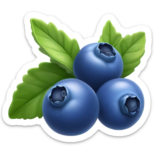 Blueberries  sticker