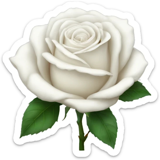 white rose sticker