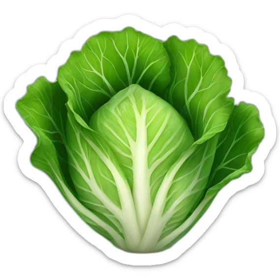 cabbage  sticker
