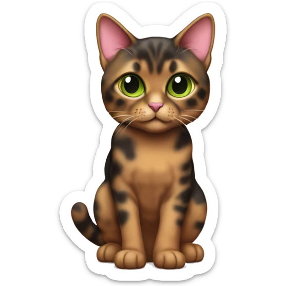 Tortie cat with back base and some brown color with light green eyes wearing a pink color. sticker