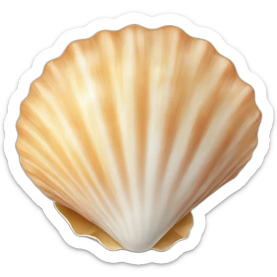 Seashell sticker