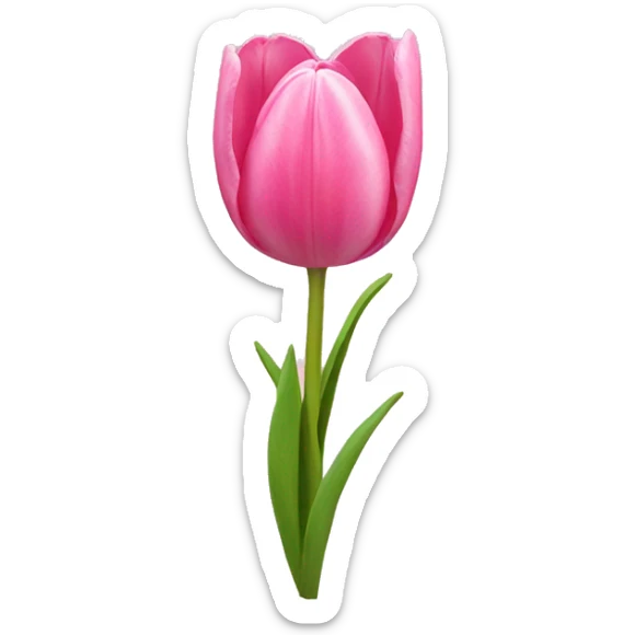 Pink tulips with a bow sticker