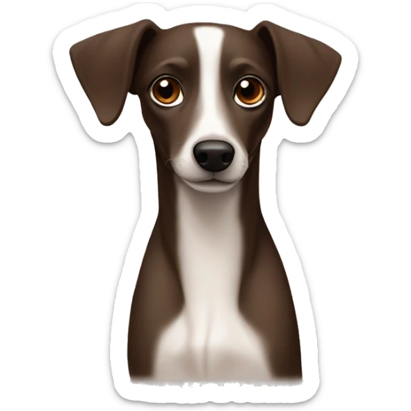 Dark brown Formosa mountain dog and Italian greyhound mix, dark brown eyes, ears up sticker
