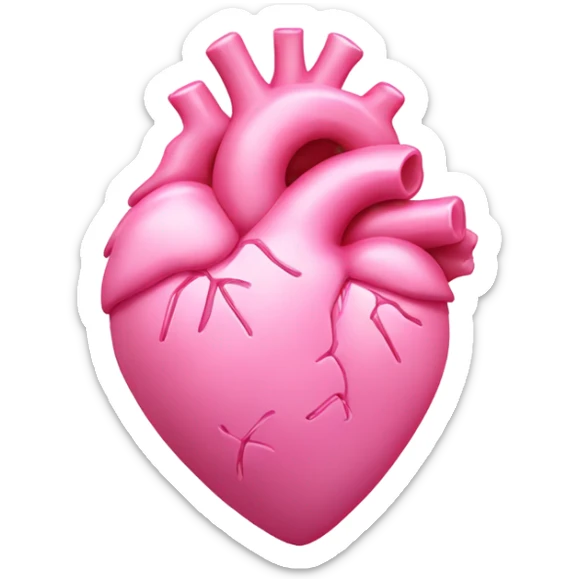 Pink anatomical heart pastel pink with pink bow on top of heart  sticker