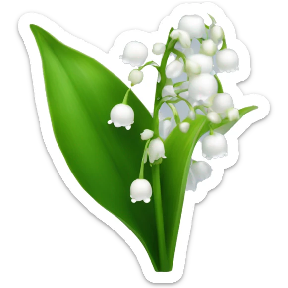 Lily of the valley flower white with green stem and clear frost droplets on the flower  sticker