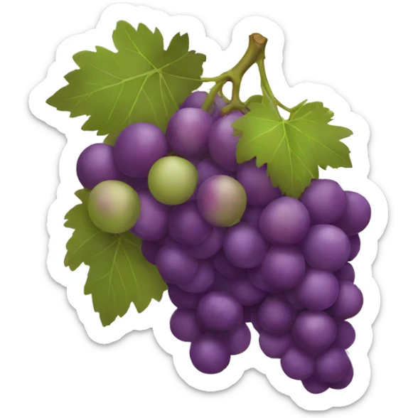 Grapes  sticker