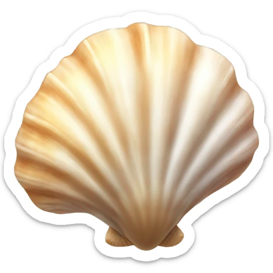 Seashell sticker
