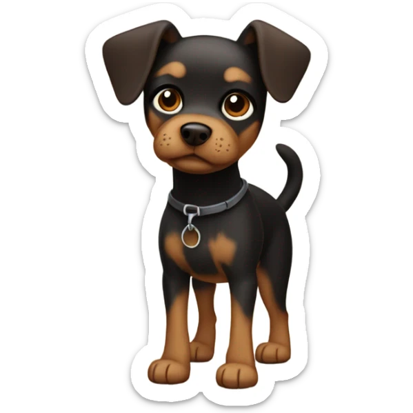 Small brown and black dog with short Legs and wirey hair sticker