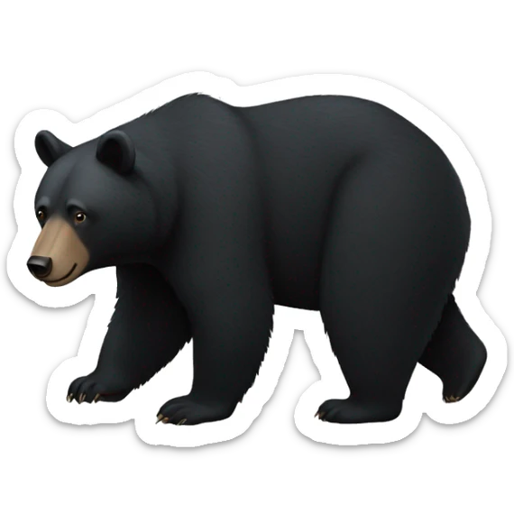 black bear symbol sticker