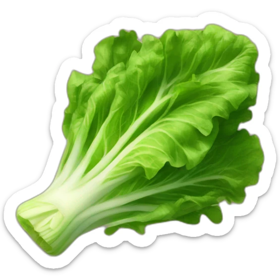 lettuce sticker