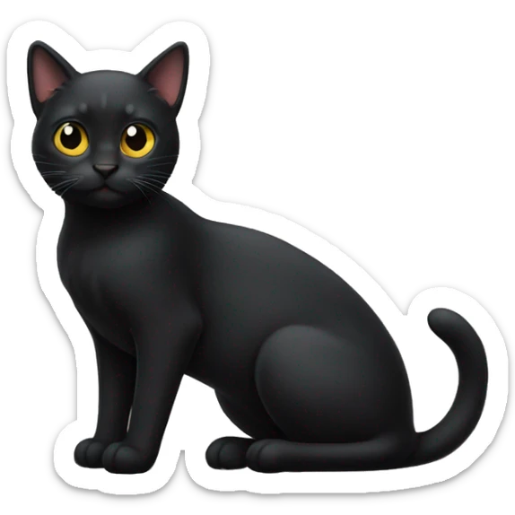 Black cat  sticker