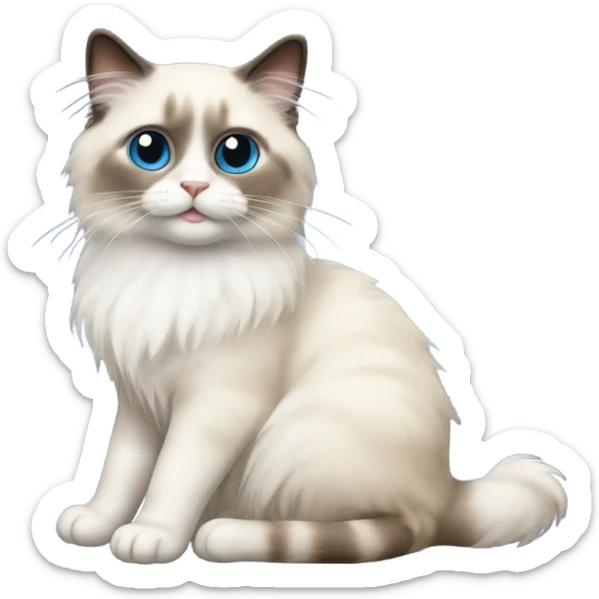 ragdoll cat sticker