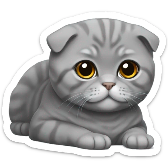 Gray Scottish fold laying sticker